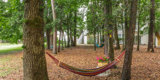 Birchwood Park Gallery 12