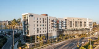 Felix at The Society Gallery 1