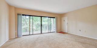 Rollingwood Gallery 16