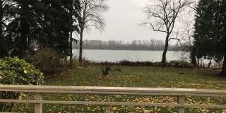 COLUMBIA RIVER Waterfront Home with Access on 1.5 Acres Gallery 10