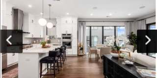 2879 Kobuk Drive Gallery 2