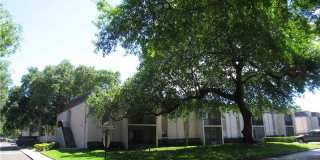 Great Brandon Location! Gallery 1