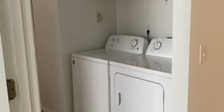 Terre View Gallery 13