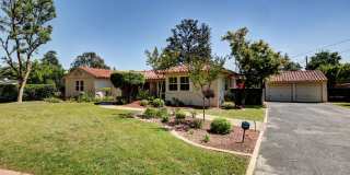 Large Old Fig Home Gallery 1