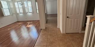 13512 Scarlet Sage Trail Gallery 8