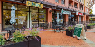 Rafael Town Center Gallery 24