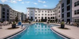 Arcadia 331 Gallery 43