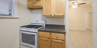 4951-53 N Oakley / 2251-57 W Argyle Gallery 26