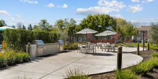 The Alexandar Gallery 19