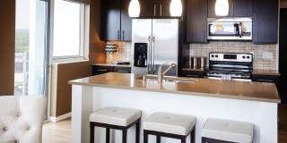 Ovation 309 Gallery 2