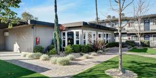 Tierra Palms Gallery 86