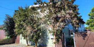 3124-3130 California [PRM: Andrew] (4) Gallery 1