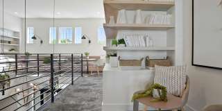 The Soleil Gallery 12