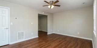 Axis on Roan Gallery 7