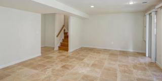 10723 GLOXINIA Gallery 12