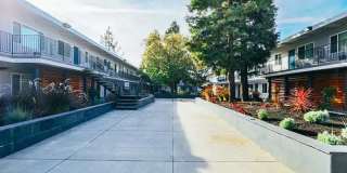 Magnolia Terrace Gallery 3