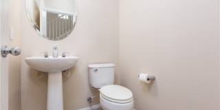 8277 Brilliant Pompon Place Gallery 22