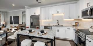Timberline View Gallery 2