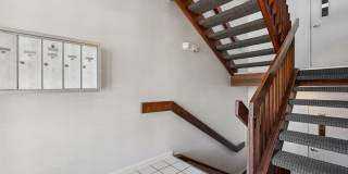 Fox Chase South Gallery 33