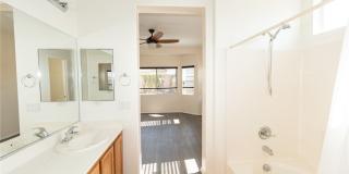 4921 Novelli Place Gallery 18