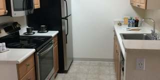 Portola Meadows Gallery 1