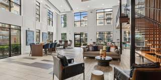 Bell Buckhead West Gallery 19