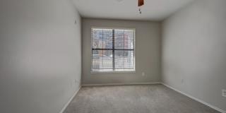 The Metro Apartments Gallery 21