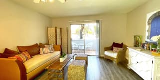 The Ray Apartments Gallery 9