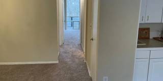 7531 Spring Lake Drive Gallery 13