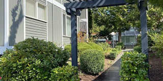 Village Gardens Gallery 1