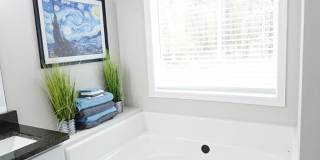 210 Brittany Pointe Lane Gallery 9