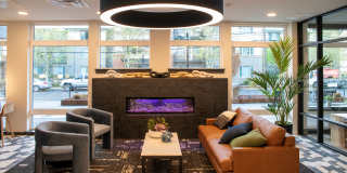 Morado Bothell Gallery 19