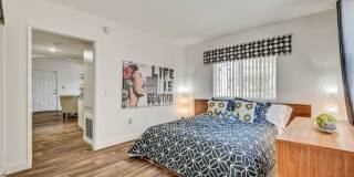 Avion at Sunrise Mountain Gallery 11