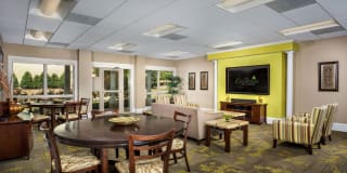 Evergreens at Laurel Gallery 7