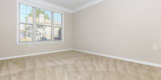 Emerson at Cherry Lane Gallery 37