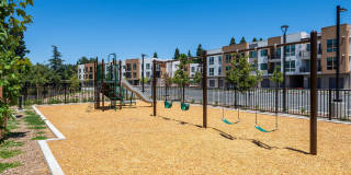 Sutter Green II Gallery 23