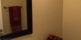 Huge 4 Bedroom/2 Bath/2 Living Room House close to TTU - Available AUGUST Gallery 41