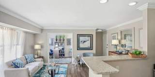 Nautilus Point Gallery 20