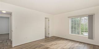 26101 Village Lane Gallery 22