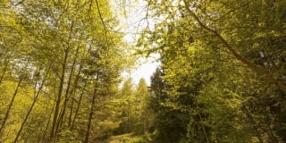 The Lodge At Redmond Ridge Gallery 16