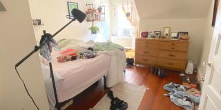 Beautiful 3 Bed/ 1 Bath Available 9/1/26 Gallery 14