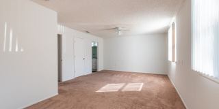 Ascent of Palm Bay Gallery 11