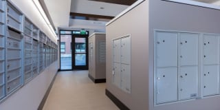 Avalon Dogpatch Gallery 27