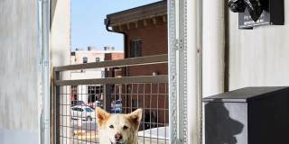 The Mae on Cascade Gallery 1