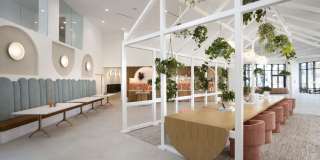 Cloud House Gallery 6