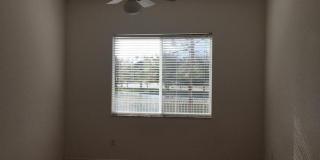 Annual Rental in Stuart Gallery 6