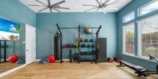 Mason Stuart Gallery 29