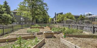 Village Green Gallery 24