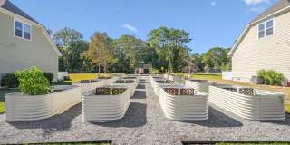 Cadia Myrtle Landing Gallery 26