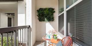 Lake Nona Watermark Gallery 26